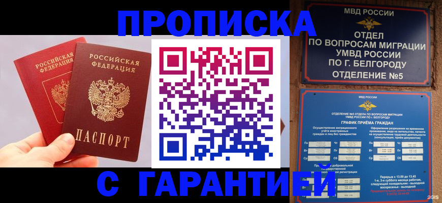 прописка 2025 в Клинцах